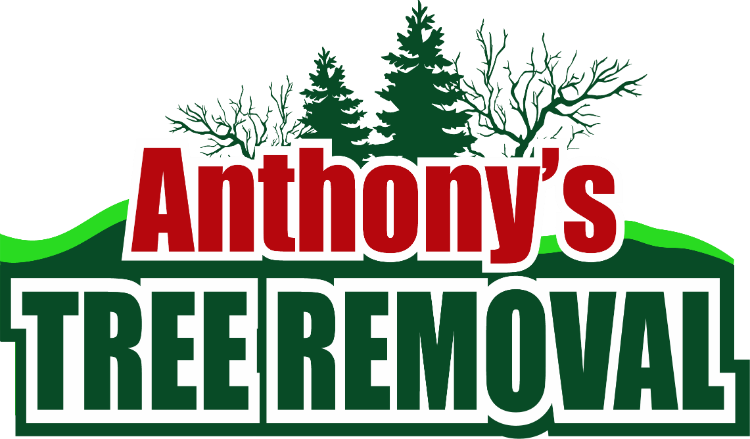 About Us 1 Anthony's Tree Removal Logo - Tree Removal Indiana - Small