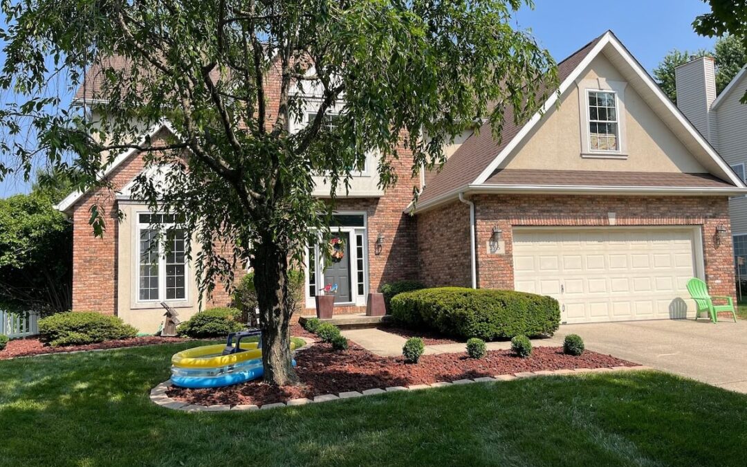 A beautiful tree in Bloomington Indiana cared for by Anthony's Tree Removal