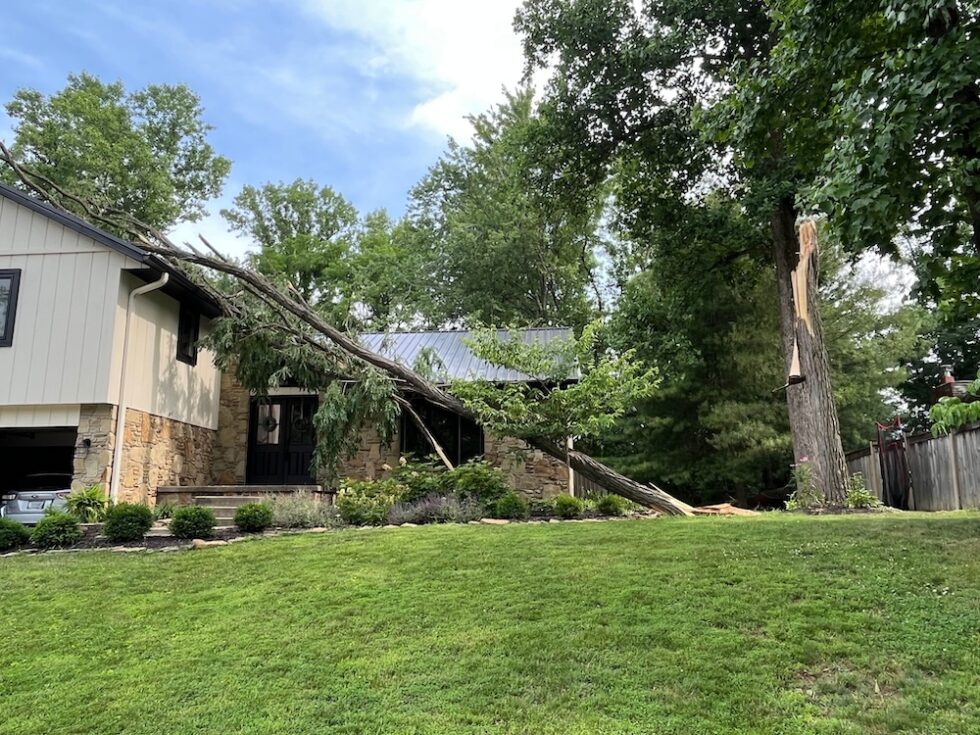 What To Do When A Tree Falls On Your House | Anthonys Tree Removal