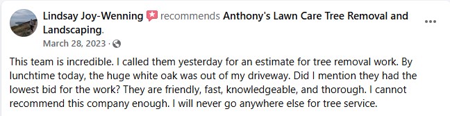 review4